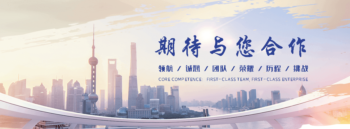 寿县海狮租赁公司